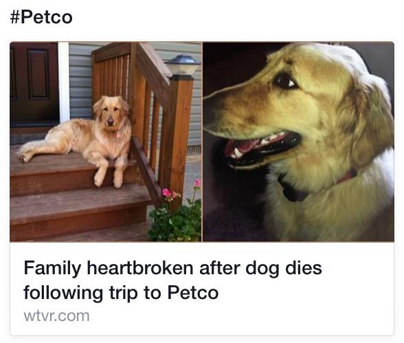 pet first aid class